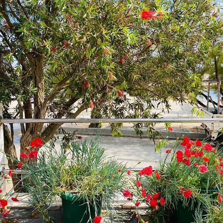 סגט ווראנייצה Apartments Vukman מראה חיצוני תמונה