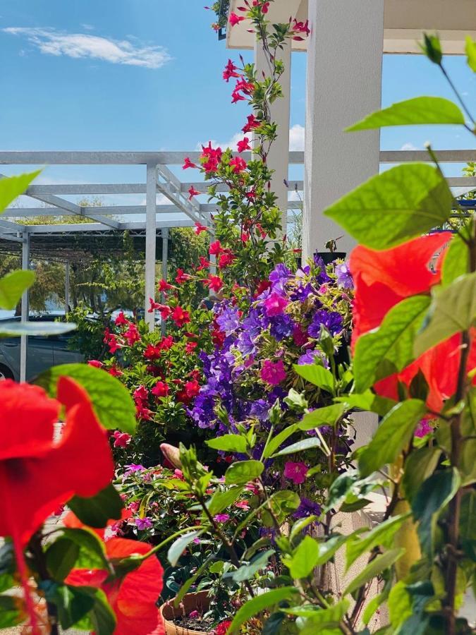 סגט ווראנייצה Apartments Vukman מראה חיצוני תמונה